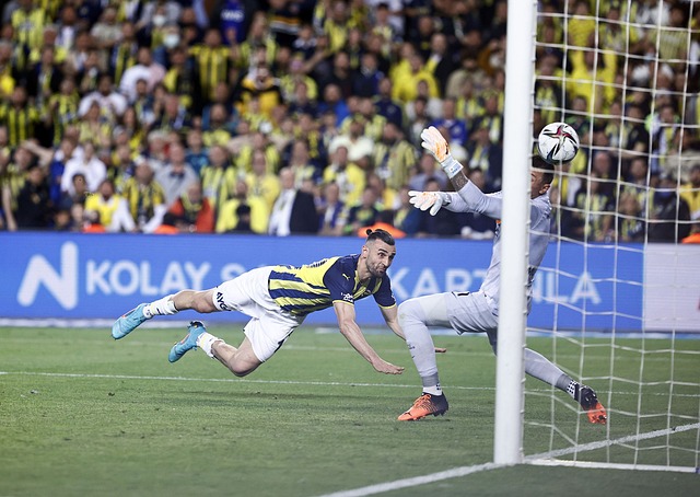 部分俱乐部 部分俱乐部