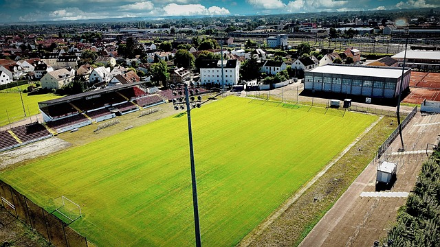 东契奇的传 东契奇的传