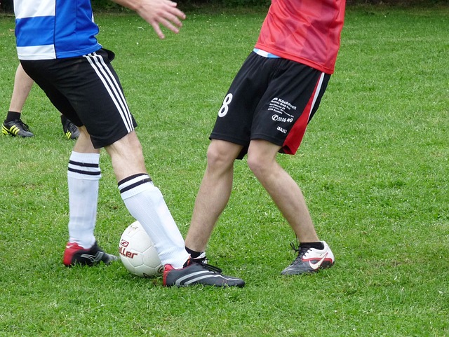 明星球员的 明星球员的