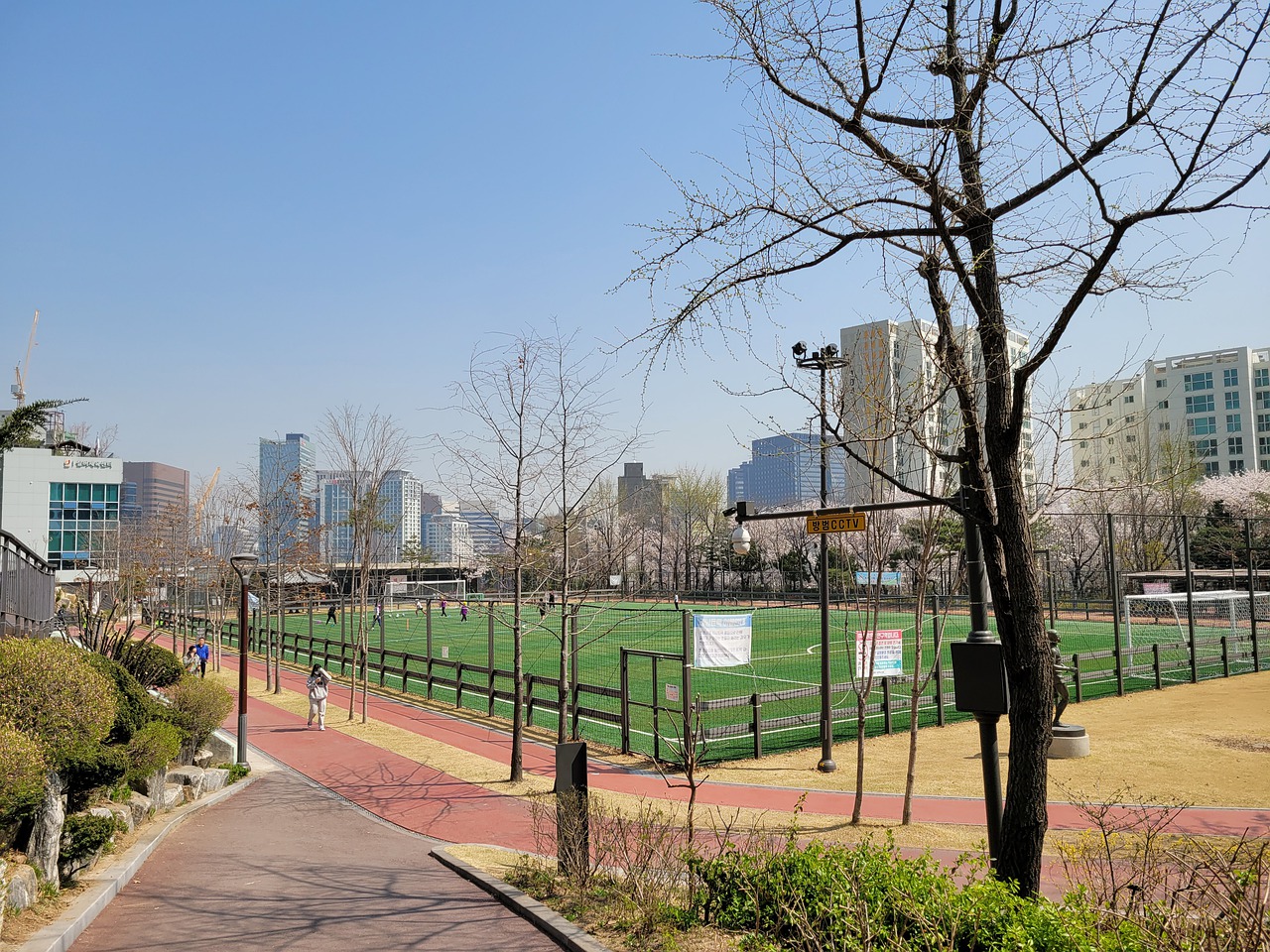 了自己的速 了自己的速