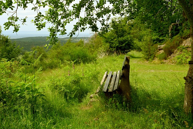这样的经验 这样的经验