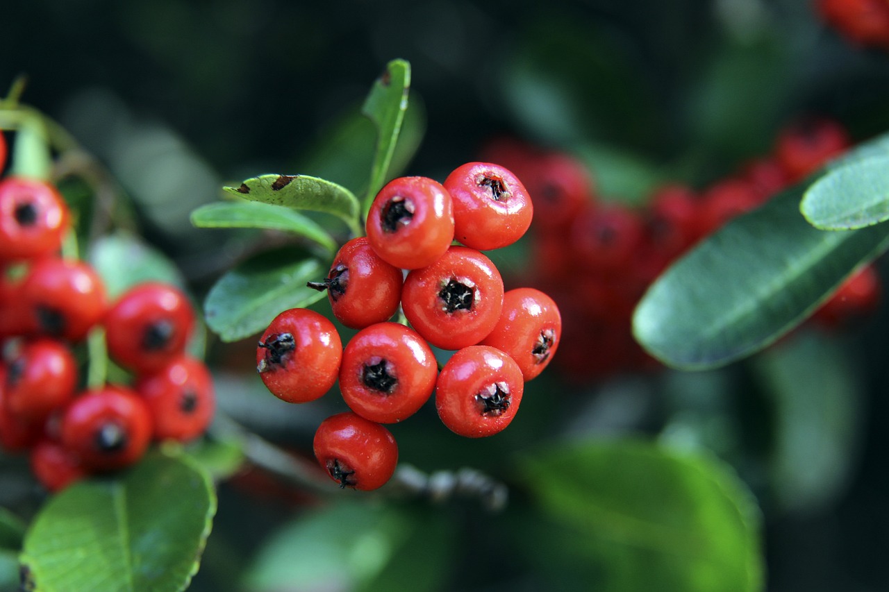 迎来指航基 迎来指航基