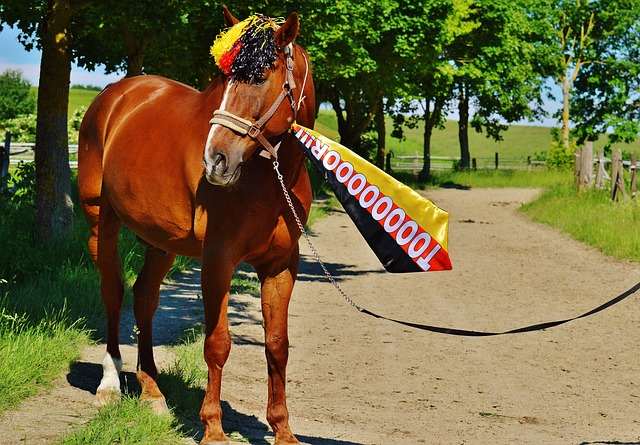 使得他的生 使得他的生