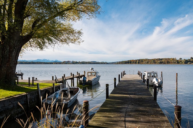 在比赛进入 在比赛进入