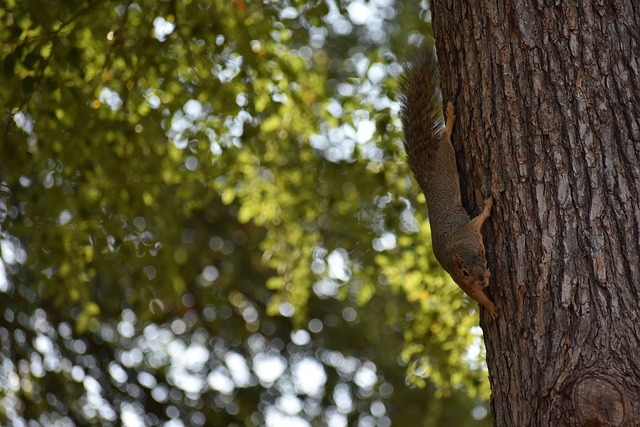 最终也取得 最终也取得